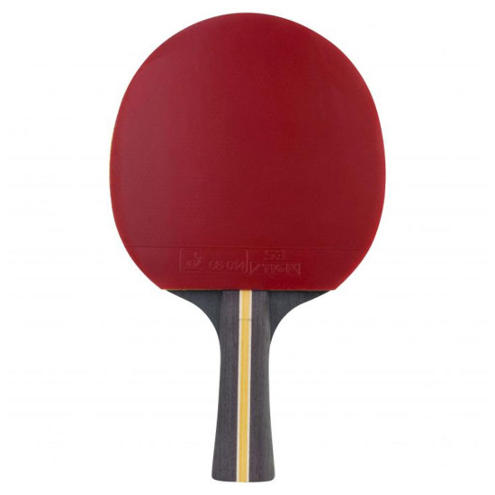 Stiga Ρακέτα Ping-Pong 3 STAR TRINITY